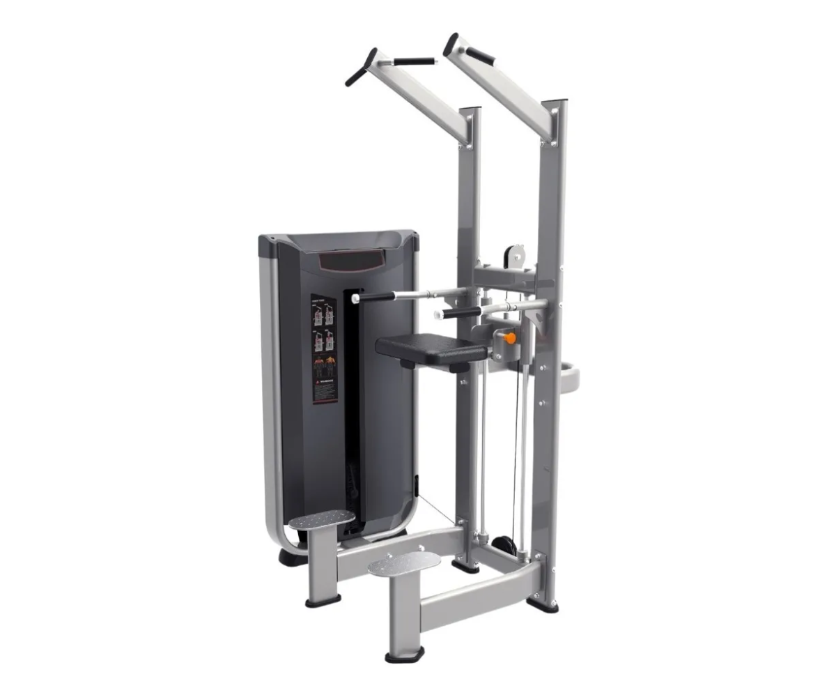 Chin/dip Assist Fitness Dip Station, Equipo Profesional Gym