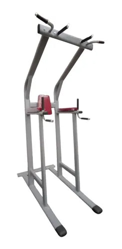 Estación Pull Ups profesional